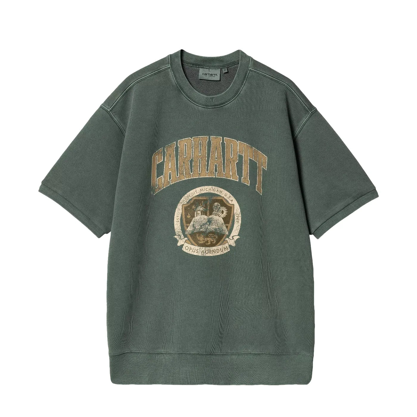 Library Sweat Conifer