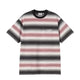 S/S Dashner T-Shirt Graphite