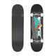 Spots 8.0"x31.85" Complete