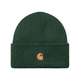 Chase Beanie Green