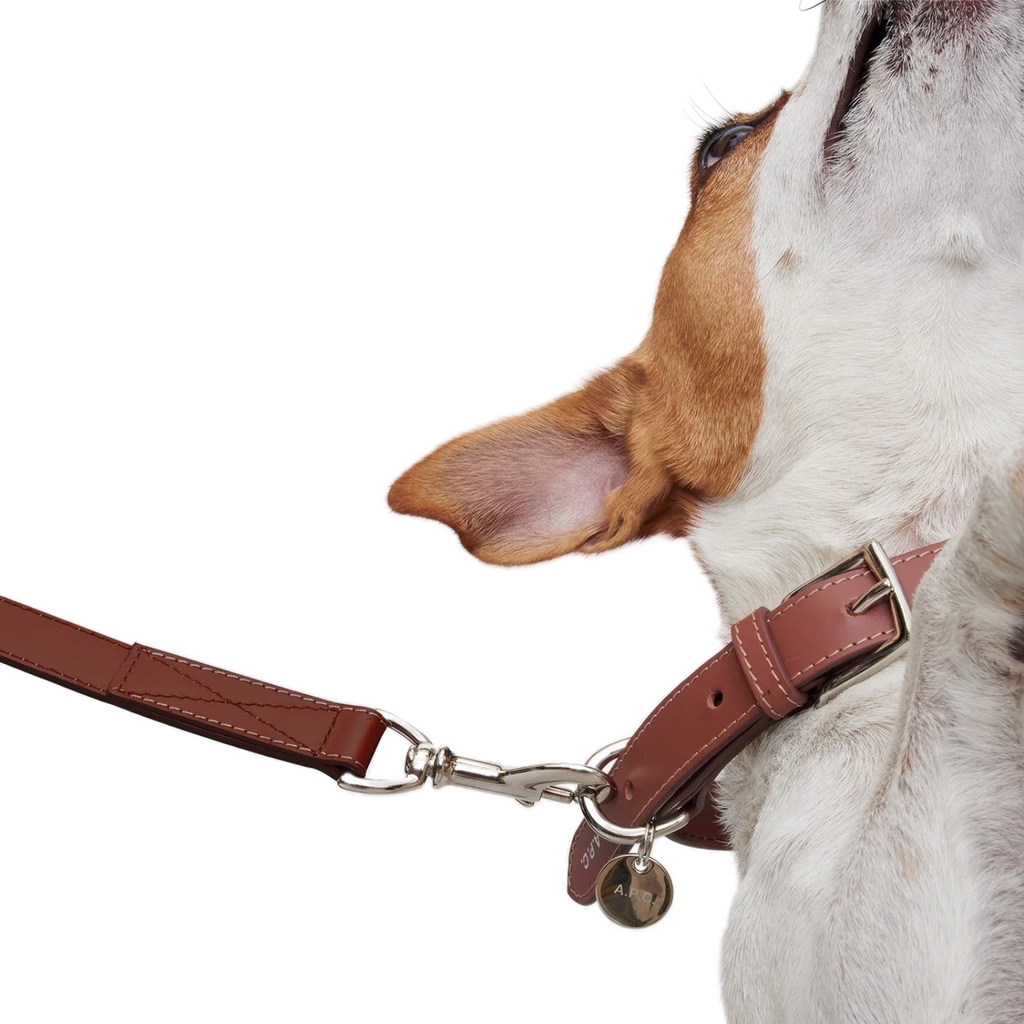 TOUTOU LEATHER COLLAR NOISETTE
