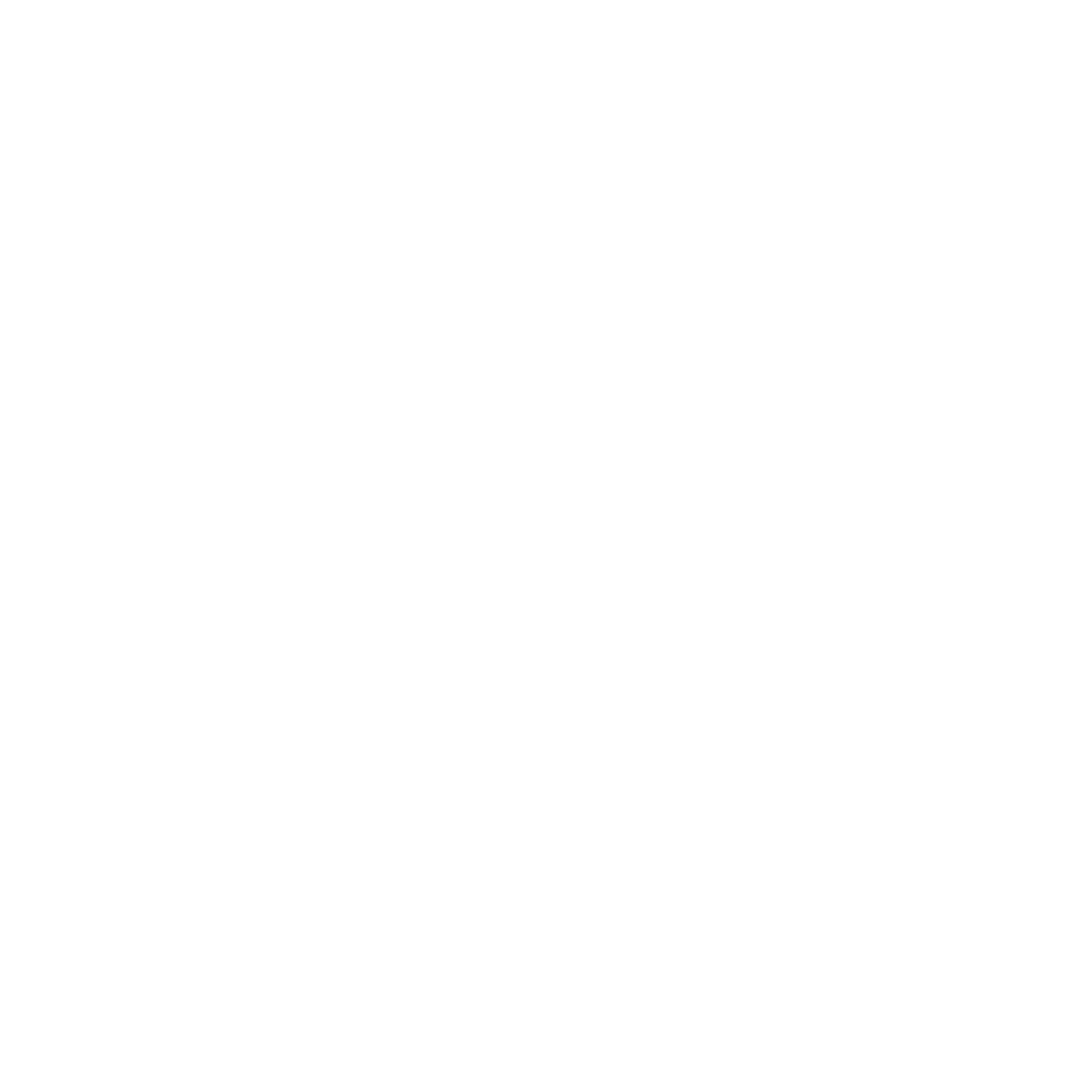 Boardshop store logo